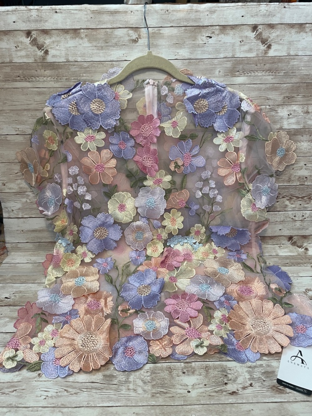 Anewsta Pastel Floral 3D Embroidered Sheer Top